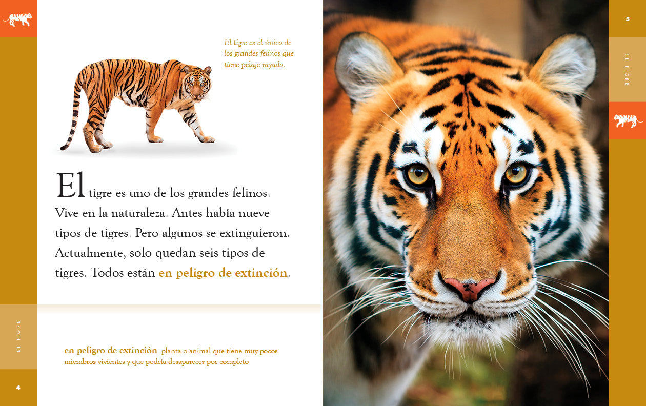 El Tigre 9781640266827 - Wild Animal Book for Kids - Perfect for School Projects & Wildlife Education