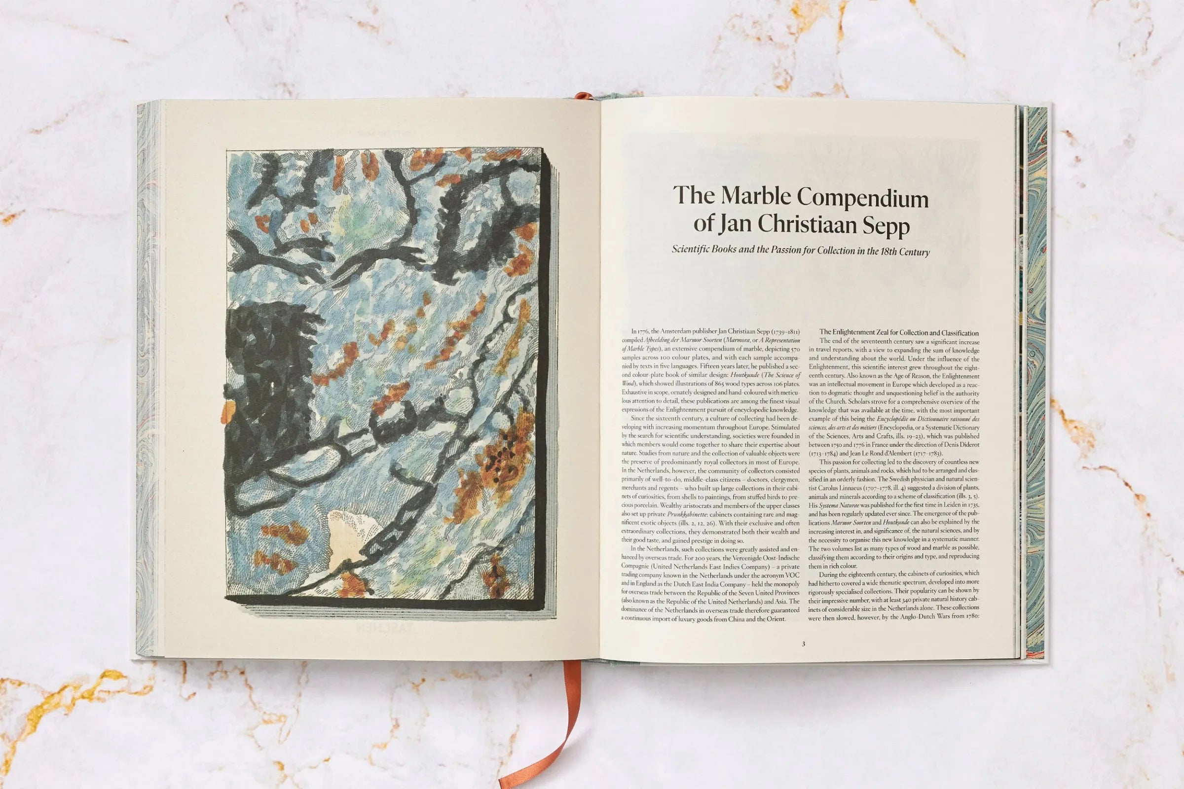 Jan Christiaan Sepp The Book of Marble | Antique Natural History Book | Rare Collectible Edition for Home Decor & Library Display