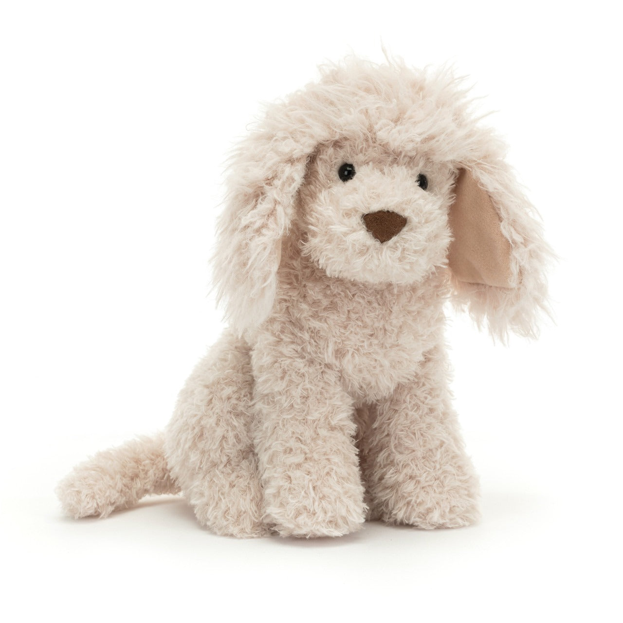 Georgiana Poodle Dog - Adorable Toy Poodle for Sale | Perfect Family Pet & Companion for Kids & Seniors | Great for Home, Travel & Outdoor Adventures