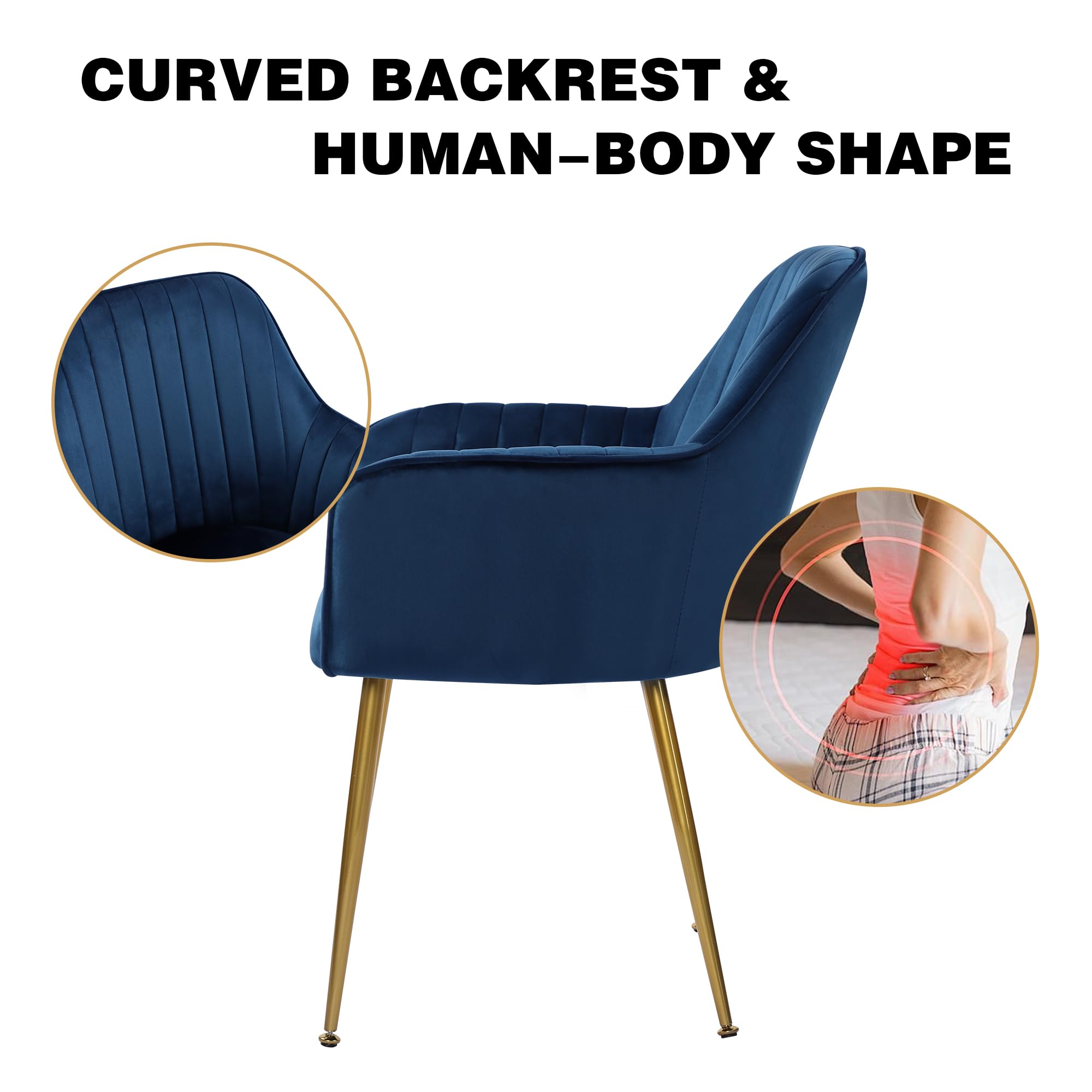 Set of 2 Velvet Upholstered Dining Chairs with Gold Metal Legs - Luxurious Accent Chairs for Living Room, Bedroom or Dining Area (Blue) - Perfect for Home Decor, Entertaining Guests & Cozy Seating