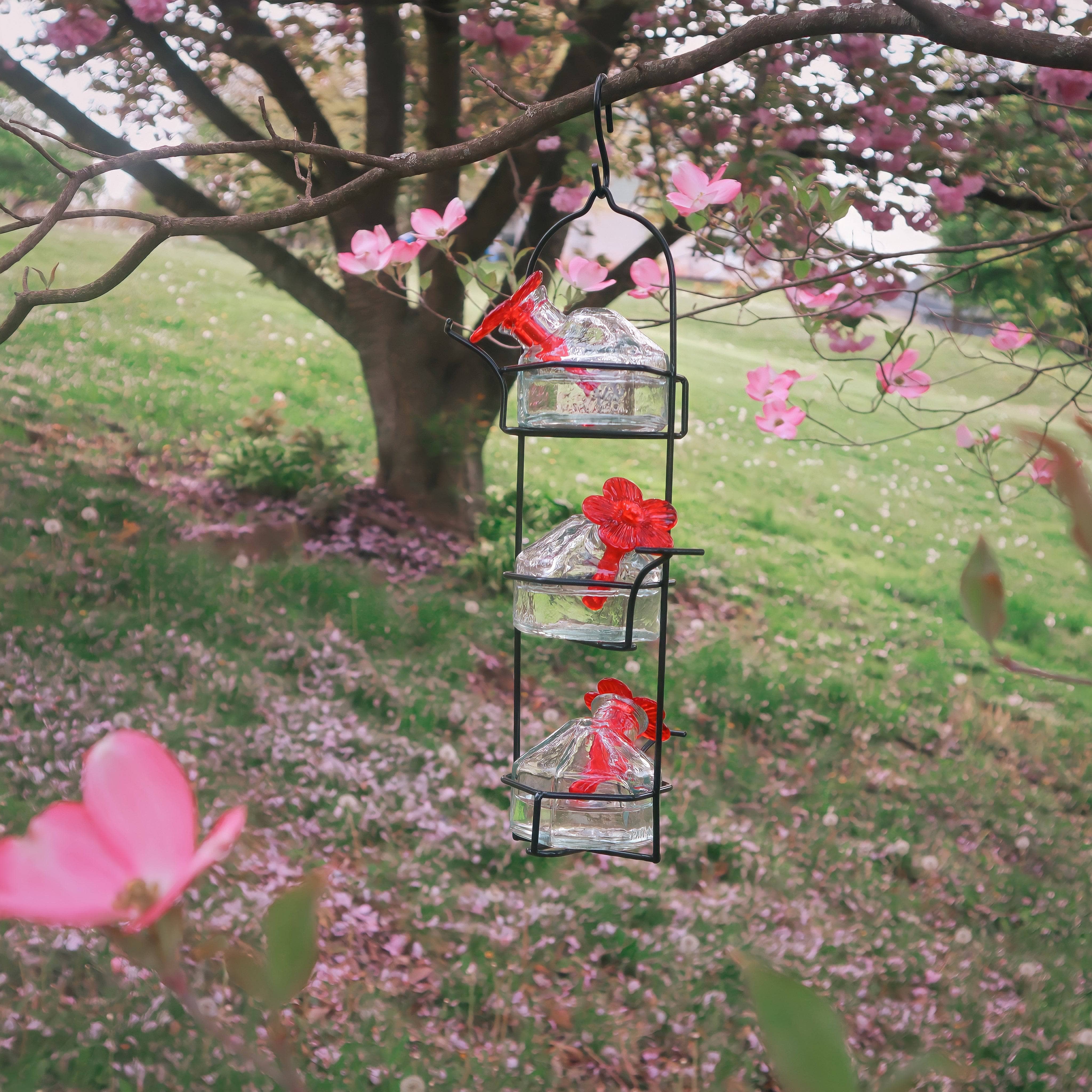 Best Clear Hummingbird Feeder for Lunch Pail - 10.5 oz Capacity - Attract Hummingbirds to Your Garden, Patio, or Backyard - Perfect for Outdoor Bird Watching & Nature Lovers