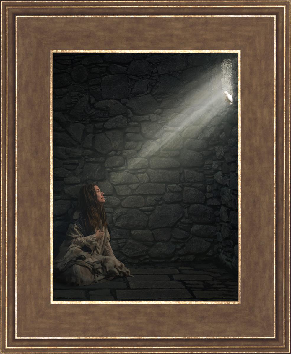 A Captive's Hope - Inspirational Book for Overcoming Adversity | Perfect for Self-Help, Motivation & Personal Growth