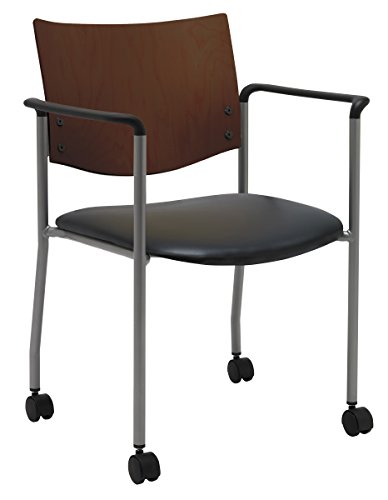 Black Anti-bacterial Vinyl