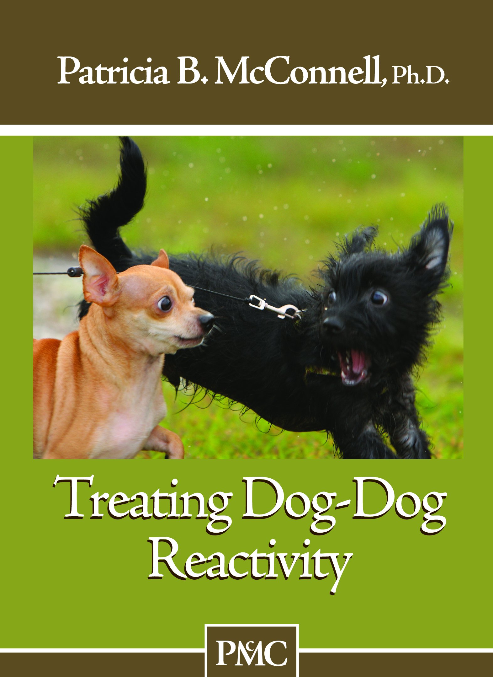 How to Stop Dog Reactivity Towards Other Dogs - Effective Training Guide for Aggressive or Anxious Pets | Perfect for Walks, Dog Parks & Socialization