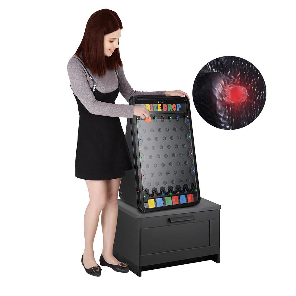 WinSpin 30x18 LED Prize Drop Plinking Board - Fun Shooting Target Game for Adults & Kids - Perfect for Backyard, Carnival & Gun Range Practice