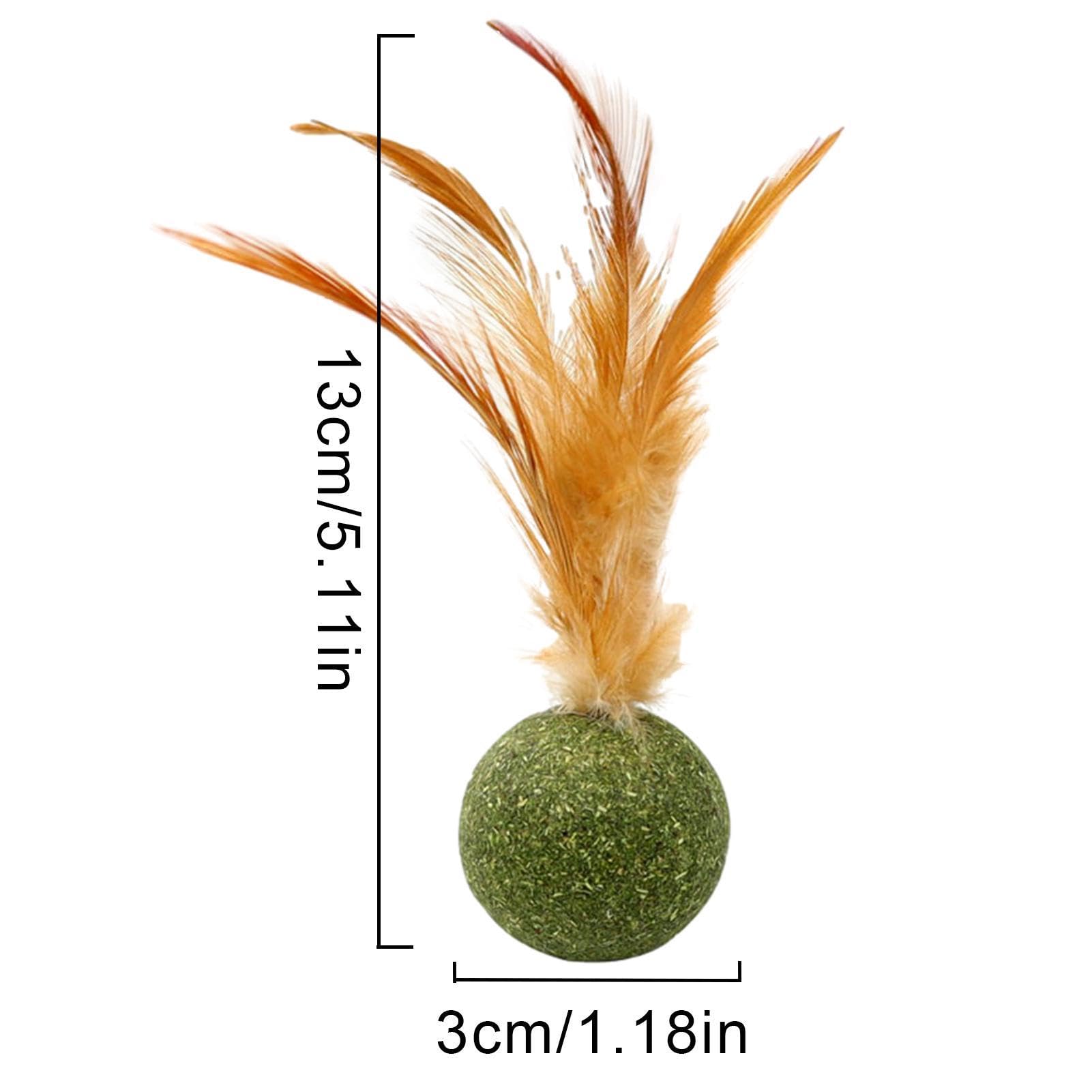 Magic Catnip Play Balls - Interactive Cat Toy with Feathers | Edible Kitten Chew Toy for Indoor Cats, Teeth Cleaning & Stress Relief - Perfect for Playtime, Training & Bonding with Your Feline Friend