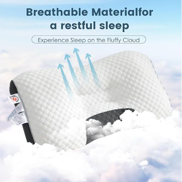 Ergonomic Neck Support Pillow for Side & Back Sleepers - 19x29 Inch