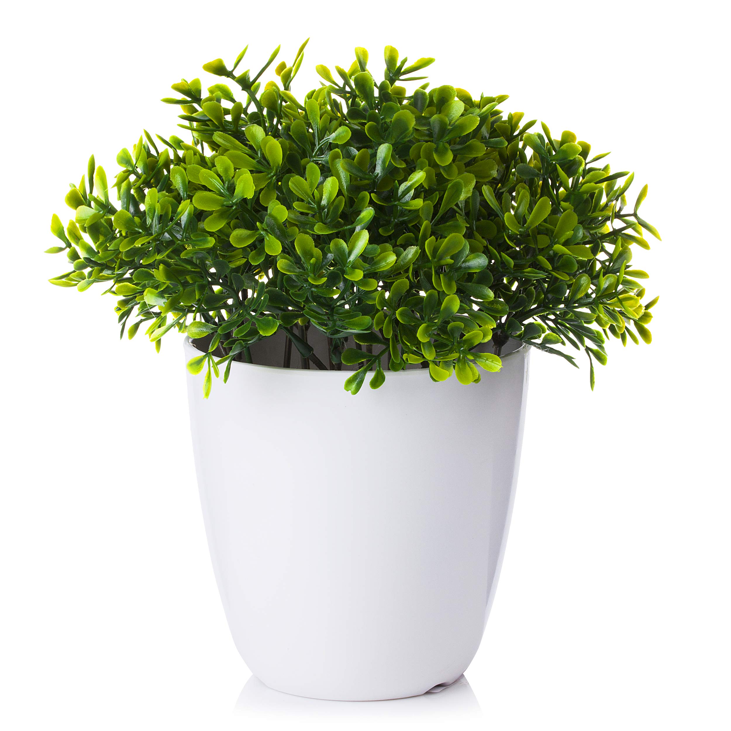 Enova Home 8 Inch Tall Artificial Greenery Plants in White Pot - Faux Potted Plants for Home, Office, Living Room & Desk Decor (6213) | Perfect for Indoor Spaces, Housewarming Gifts & Workspace Beautification