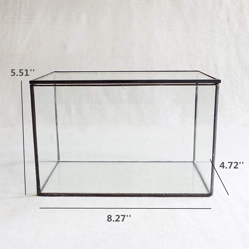 Modern Geometric Glass Terrarium with Lid - 8.3