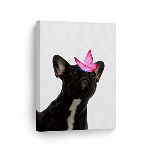 Animal Canvas Print V54