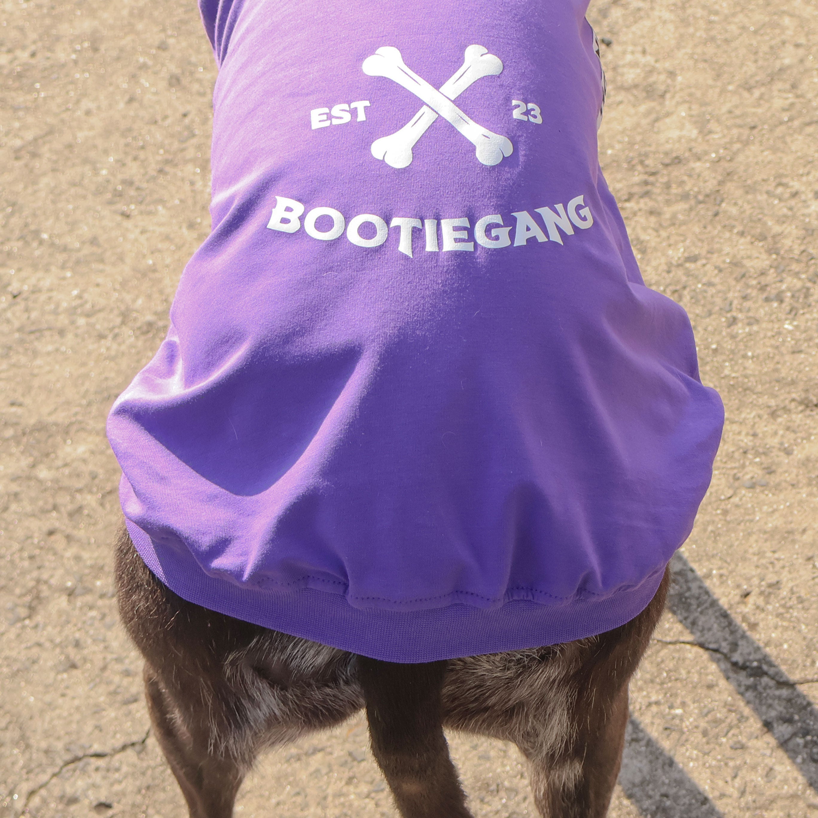 Pre-Order Snooties Booties Collab Bootie Gang Tee - Cute Matching Outfits for Dogs & Owners - Perfect for Pet Lovers, Dog Walks, and Instagram Photos