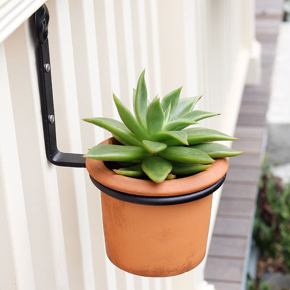 Achla Designs 4 Inch Flower Pot Ring Wall Bracket - Decorative Plant Hanger for Indoor & Outdoor Gardens, Balconies, and Patios