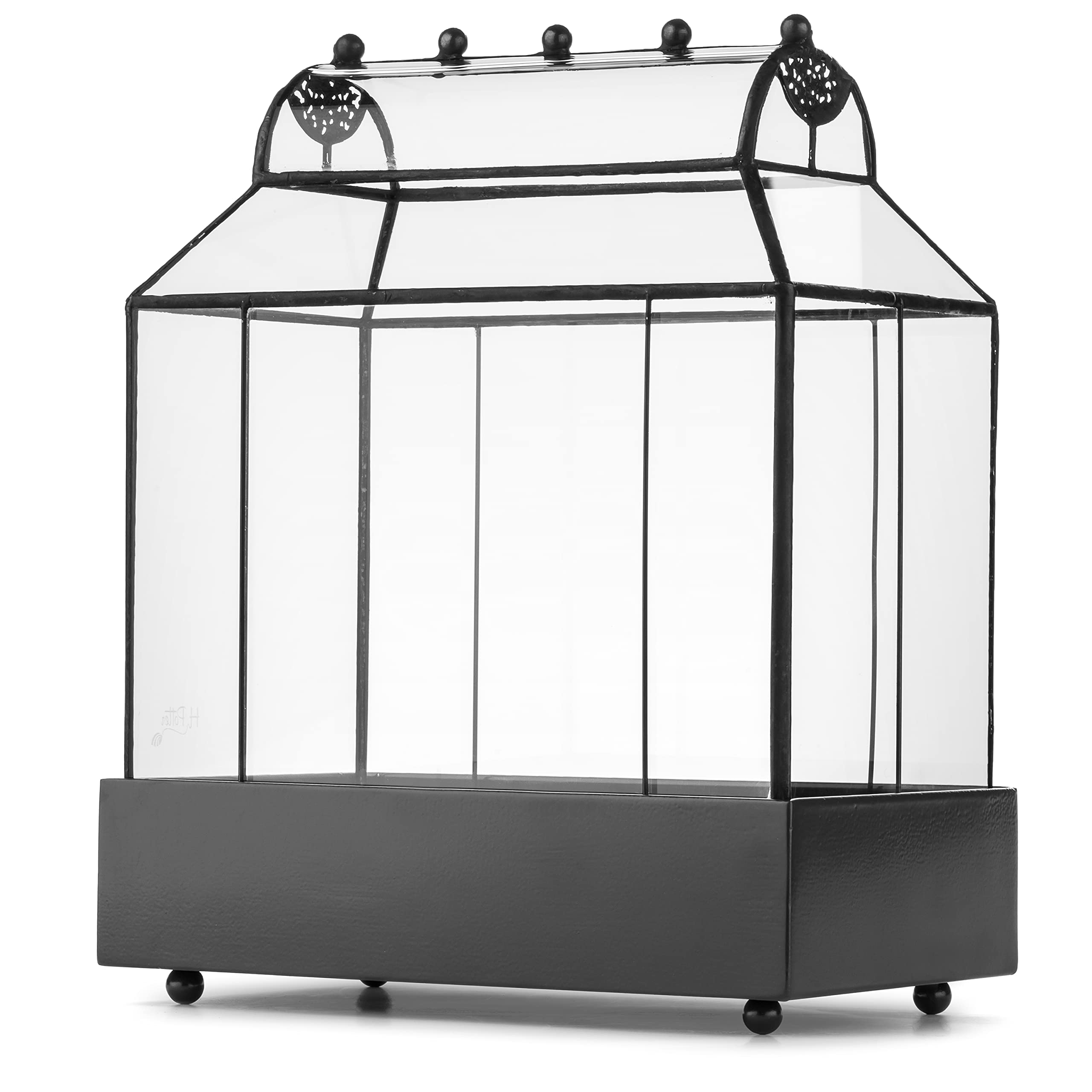 H Potter Glass Terrarium Wardian Case Planter - Indoor Plant Display for Home, Office & Garden Decor