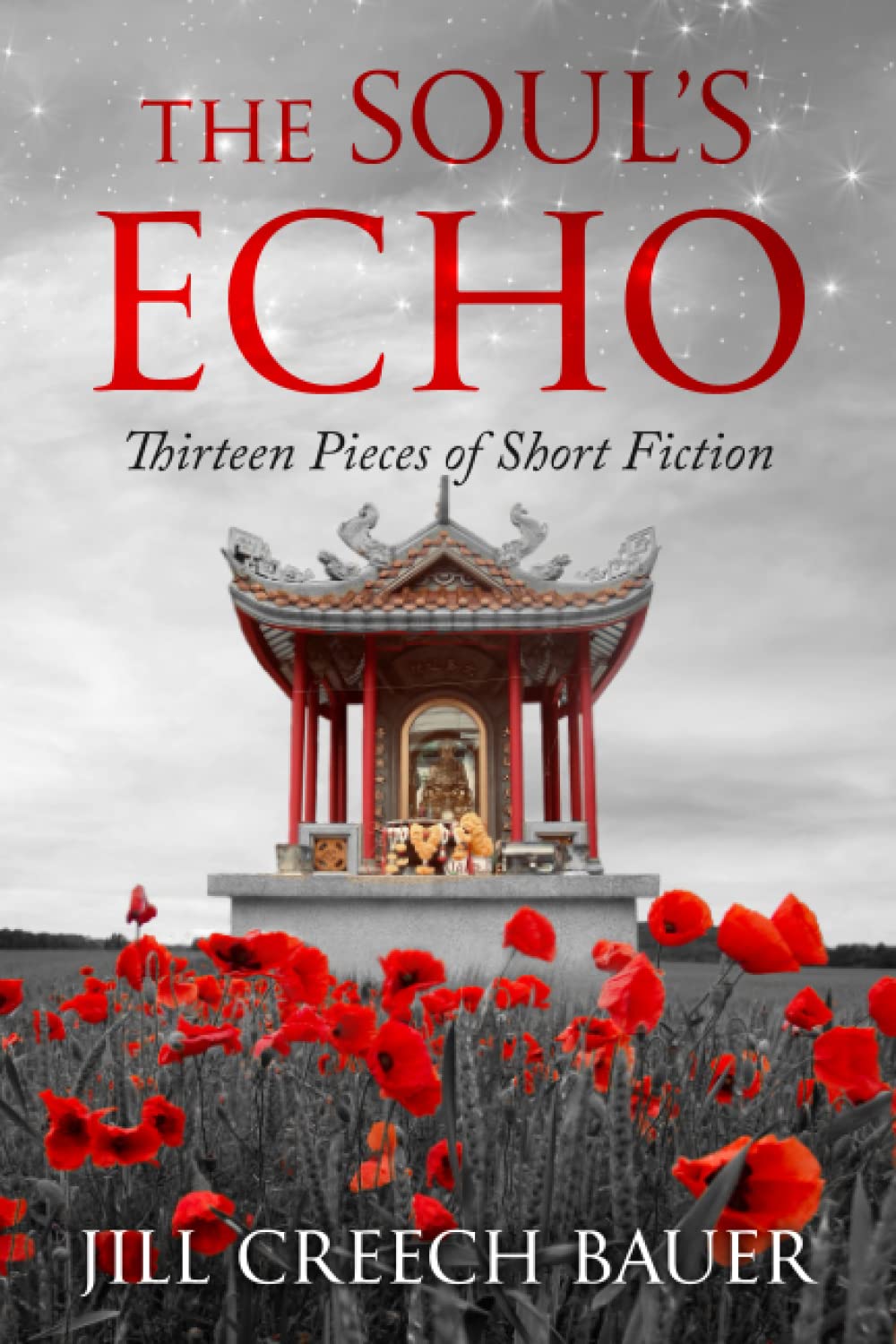 The Soul's Echo: 13 Captivating Short Fiction Stories for Book Lovers & Literary Enthusiasts - Perfect for Relaxing Evenings, Book Clubs & Thoughtful Gifts
