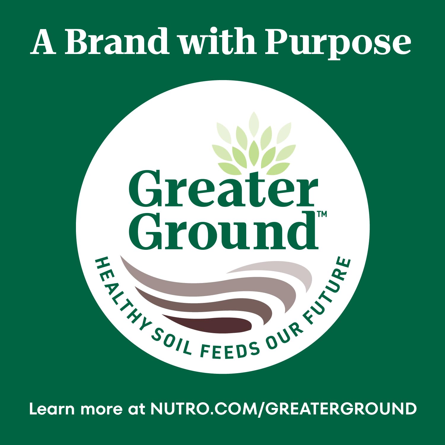 Nutro Natural Choice Adult Small Breed Dry Dog Food - Chicken & Brown Rice Recipe, 13 lb Bag - High Protein Kibble for Small Dogs - Perfect for Indoor Pets & Active Lifestyles
