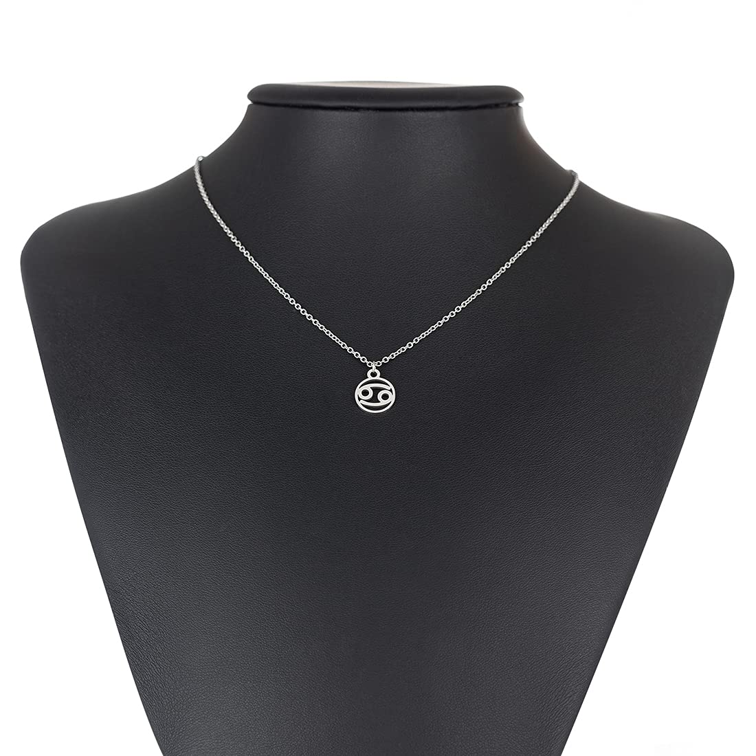 Zodiac Necklace for Women - Personalized Constellation Horoscope Jewelry - Perfect Birthday & Christmas Gift for Her - Ideal for Daily Wear, Special Occasions & Astrology Lovers