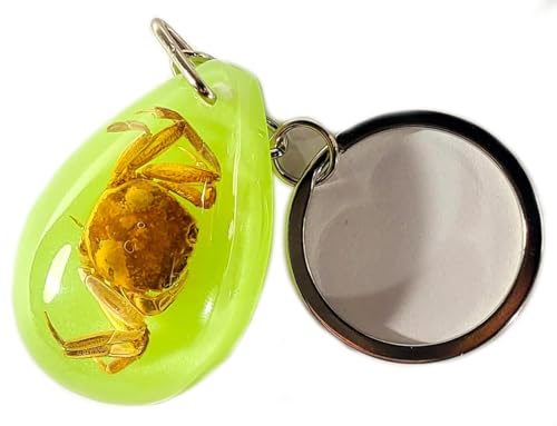 Golden Crab (Key Ring W/ Chain)