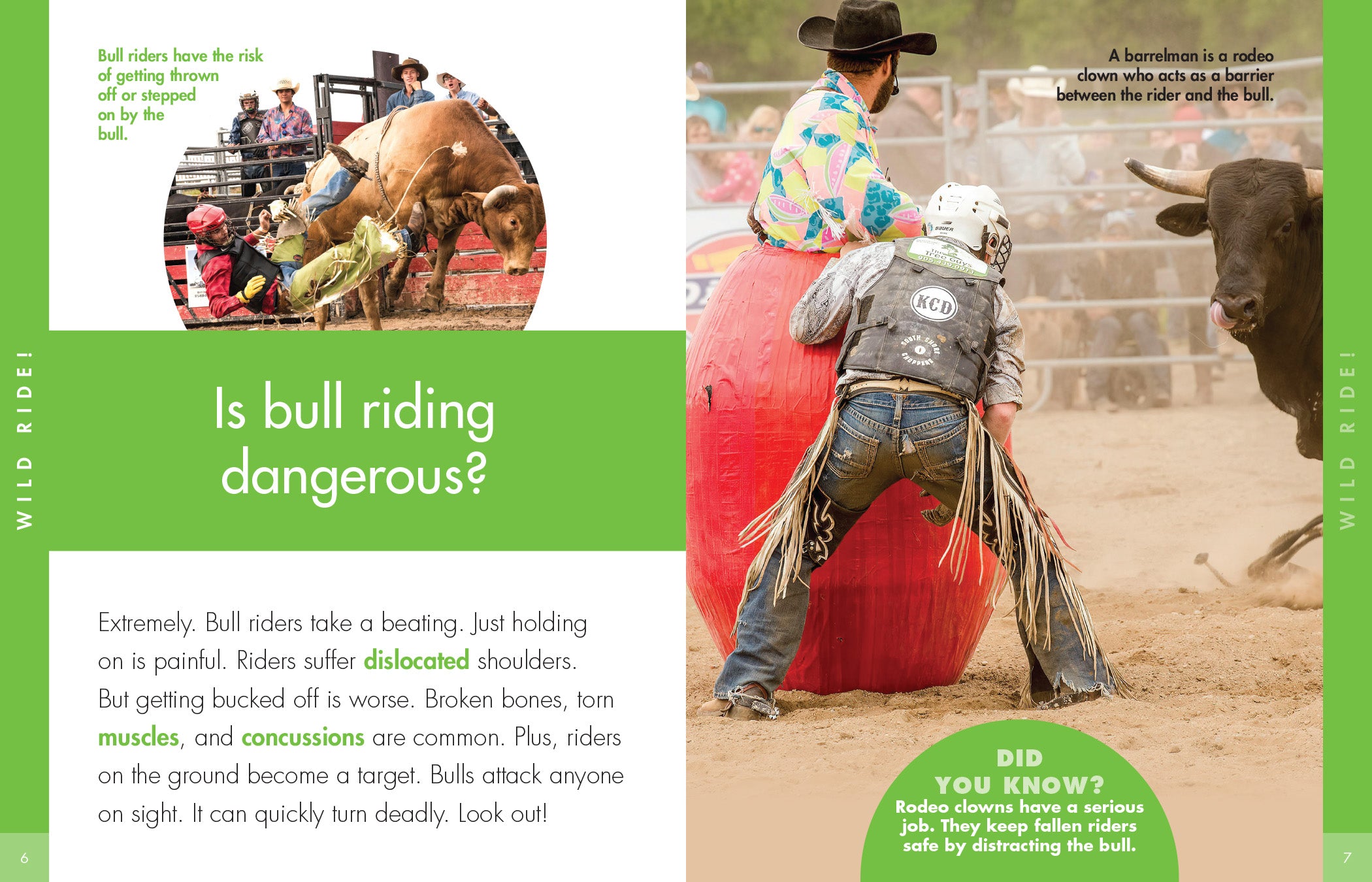 Professional Bull Riding Gear & Equipment for Rodeo Enthusiasts - Durable & Safe for Competitions & Practice