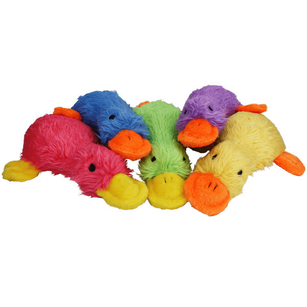 Multipet Duckworth Assorted Dog Chew Toys - Durable & Fun Plush Squeaky Toys for Small & Medium Dogs - Perfect for Playtime, Training & Teething Relief