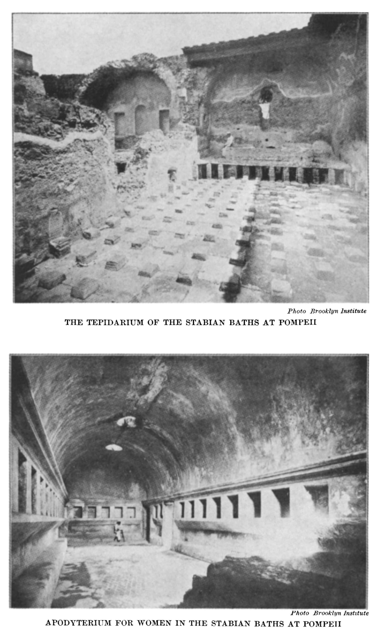 Vitruvius: The Ten Books on Architecture (Volume 1) - Classic Architectural Treatise for Students, Historians & Designers | Perfect for Architecture Studies & Historical Research