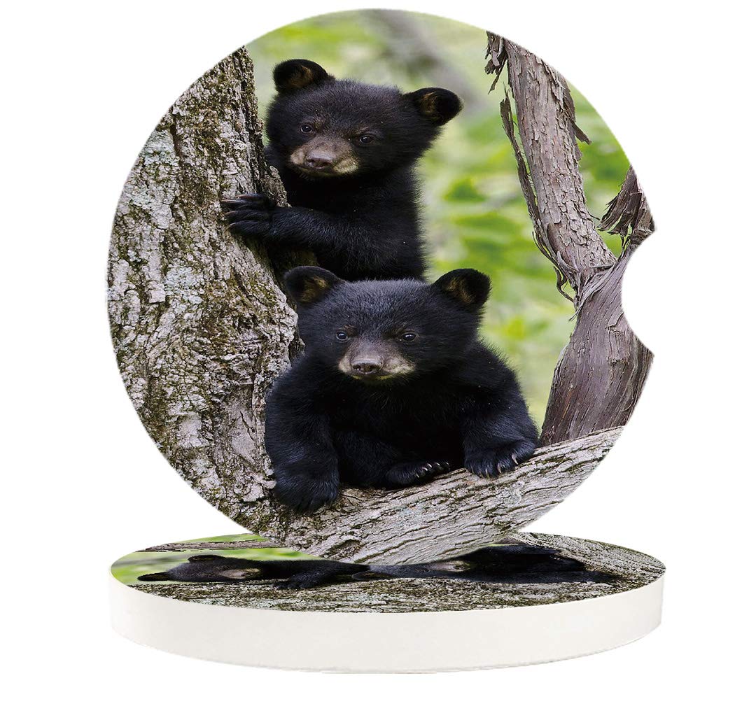 Chic D Drinks Car Coasters 4 Pack - Absorbent Ceramic Cup Holder Coasters for Women & Men - Black Bear Family Forest Design - Funny Car Accessories for Auto, Home, Office - Perfect for Coffee, Tea & Beverages in Car, Living Room, Kitchen or Workplace