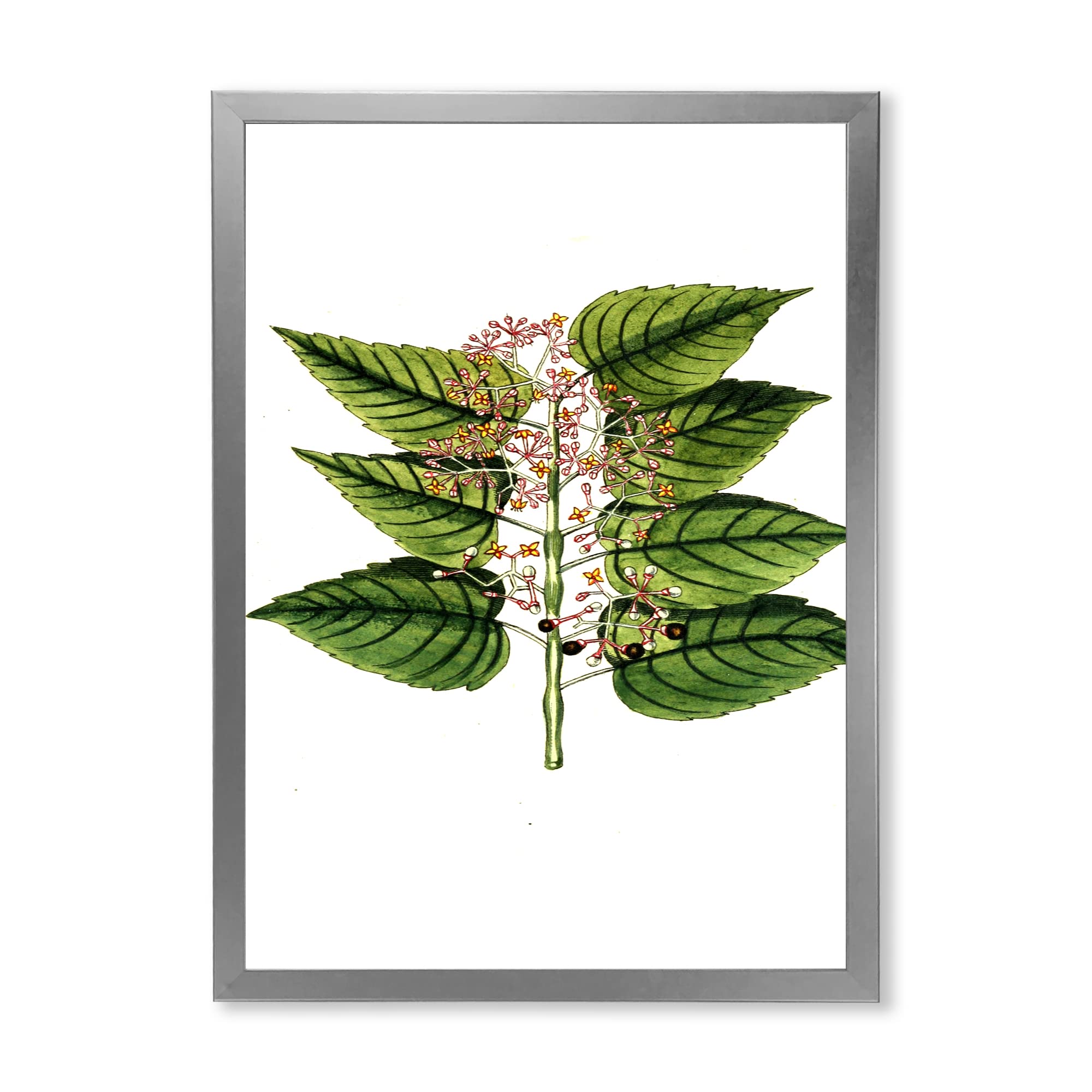 Vintage Plant Life XXVI Framed Wall Art - Traditional Botanical Home Decor for Living Room, Bedroom & Office
