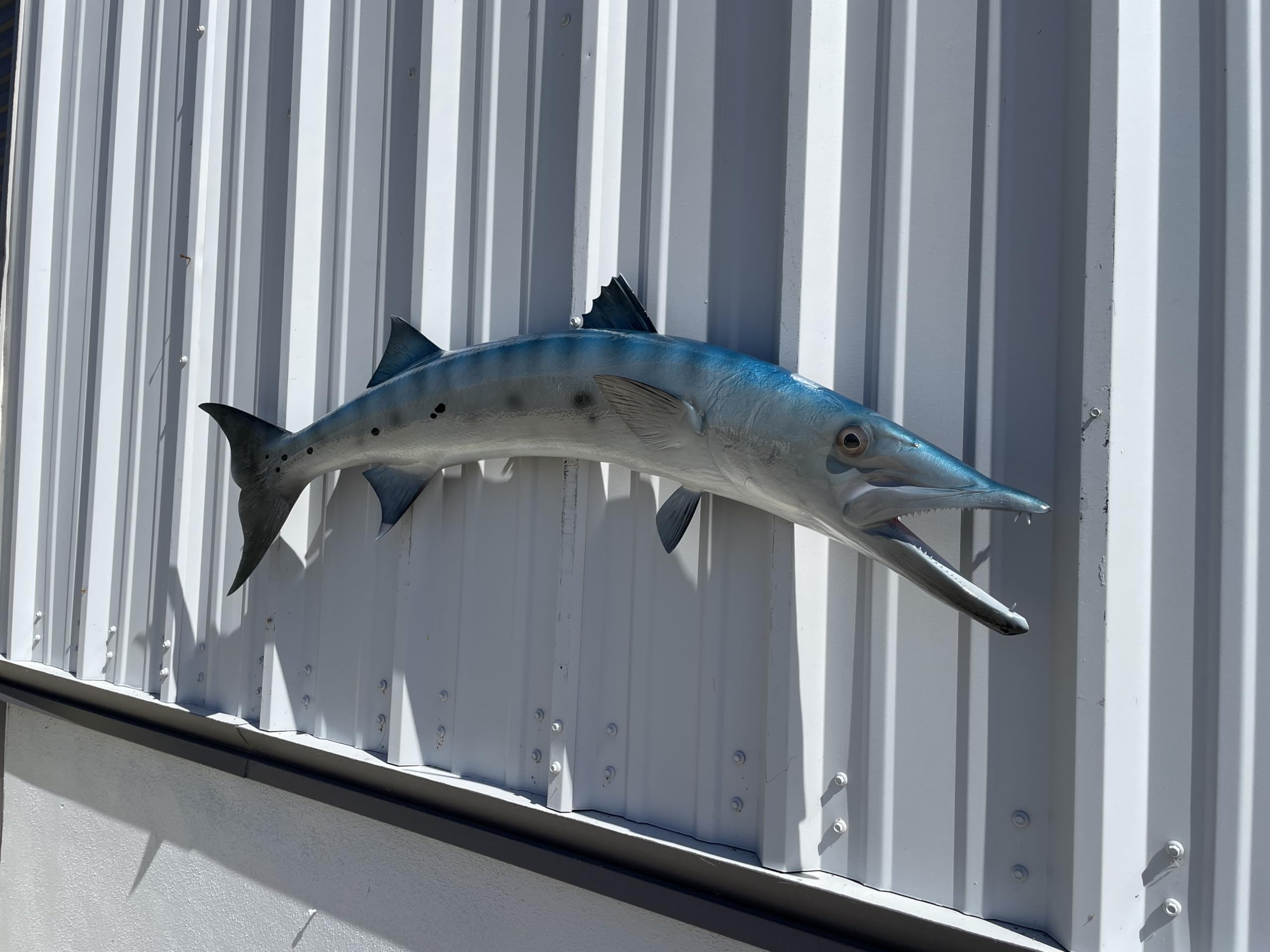 Barracuda Fish Wall Mount Replica - Lifelike Fishing Trophy & Coastal Home Decor for Living Room, Office, or Beach House