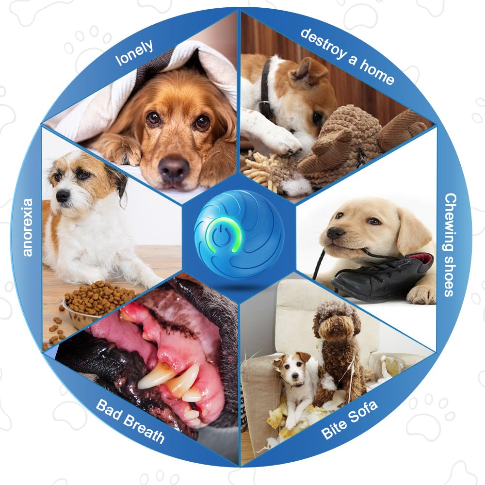 USB Rechargeable Vibrating Dog Ball - Interactive Moving & Bouncing Ball Toy for Small Medium Large Dogs - Automatic Shaky Pet Toy for Indoor/Outdoor Play & Training (Blue)