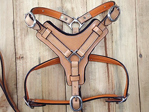 HILASON Genuine Leather Dog Harness & Leash Set - Large Size, Tan, Padded for Comfort - Perfect for Walking, Training & Outdoor Adventures