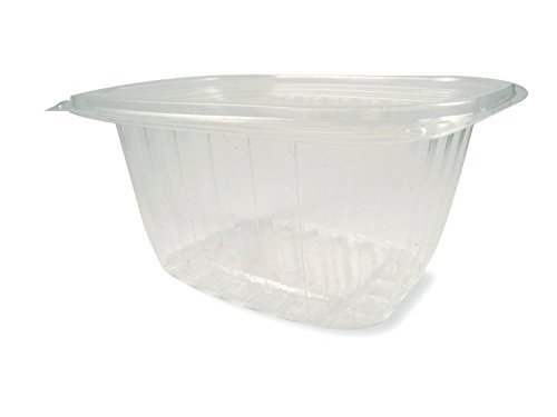 World Centric Compostable 16oz Clear Rectangle Deli Containers - 900 Pack | Eco-Friendly Food Storage for Restaurants, Catering & Takeout