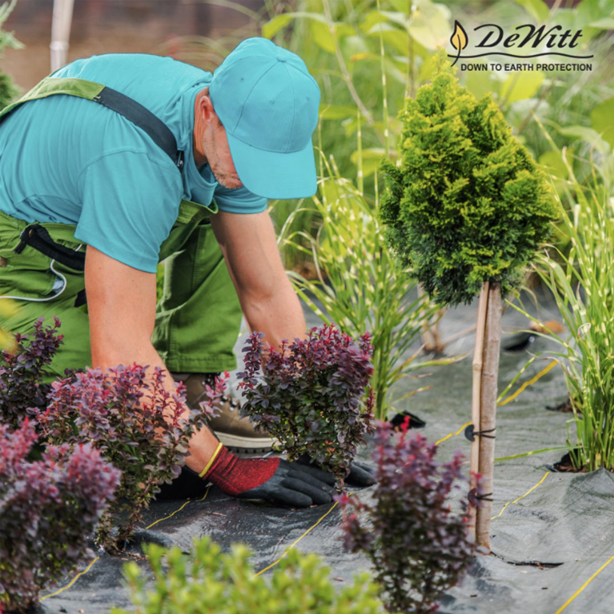 **DeWitt Sunbelt Woven Weed Barrier Fabric - 3.2 oz, Black, 6' x 500' - Durable Ground Cover for Greenhouse, Garden, Landscaping & Outdoor Displays - Perfect for Weed Control, Erosion Prevention & Soil Protection**