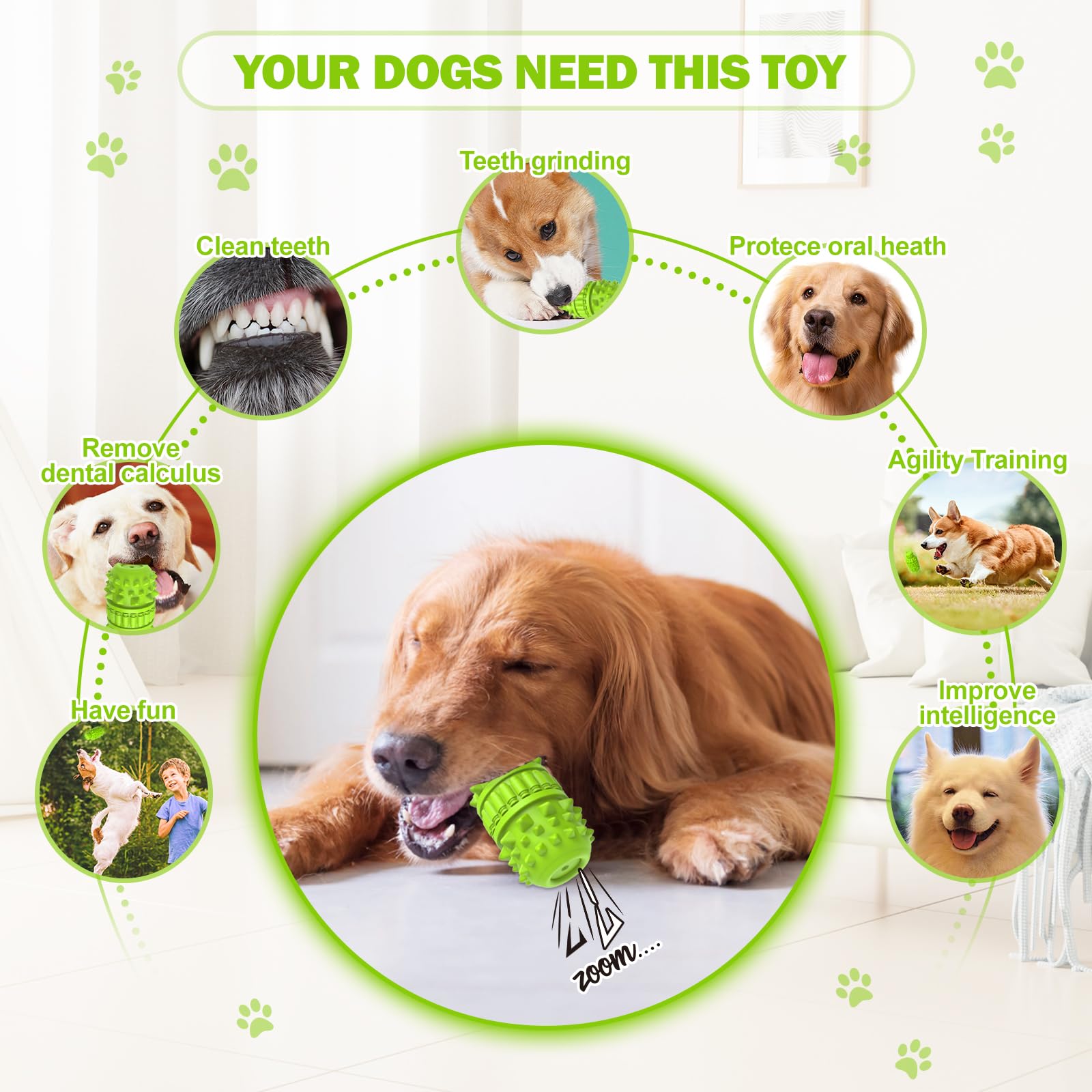 **Durable Natural Rubber Dog Chew Toys for Aggressive Chewers - Tough Squeaky Interactive Dog Toys for Small & Medium Breeds - Dog Birthday Gift & Toothbrush (Green, Small) - Perfect for Playtime, Training & Dental Health**