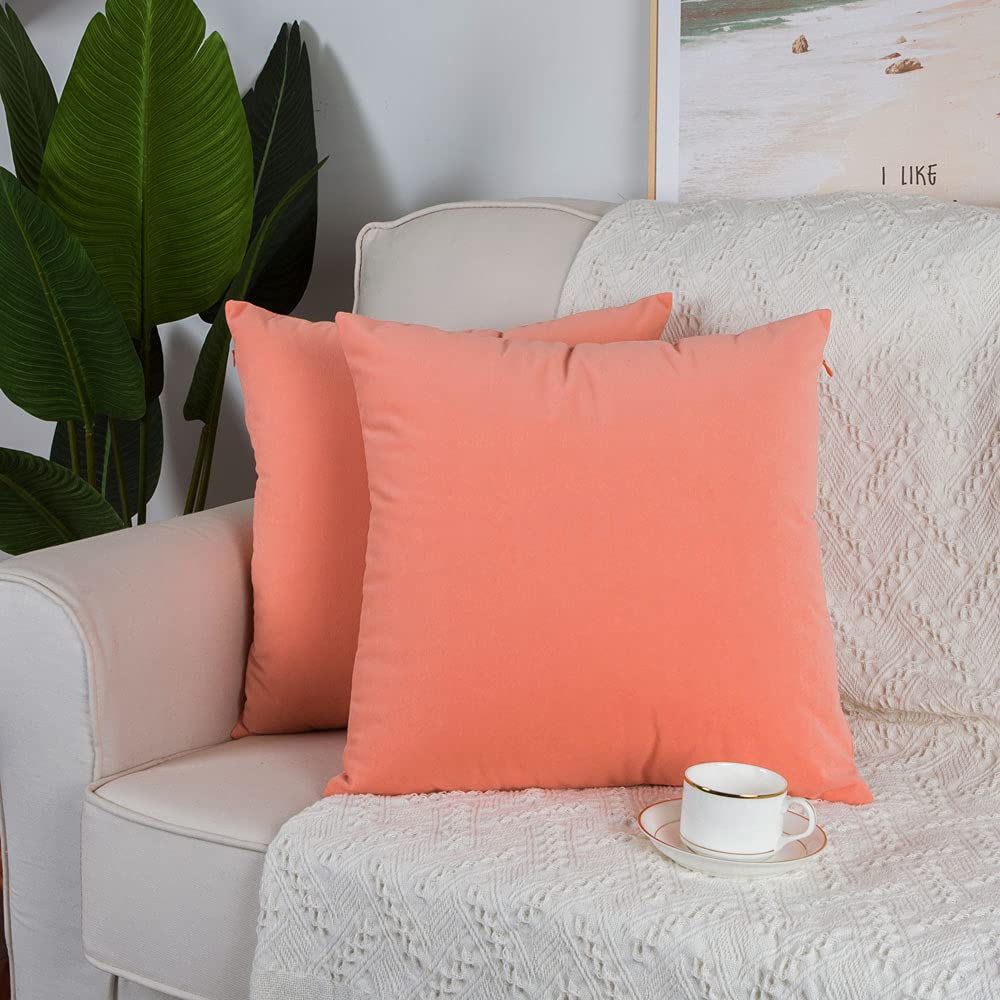 Artcest Set of 2 Kids Decorative Square Velvet Throw Pillow Covers 12
