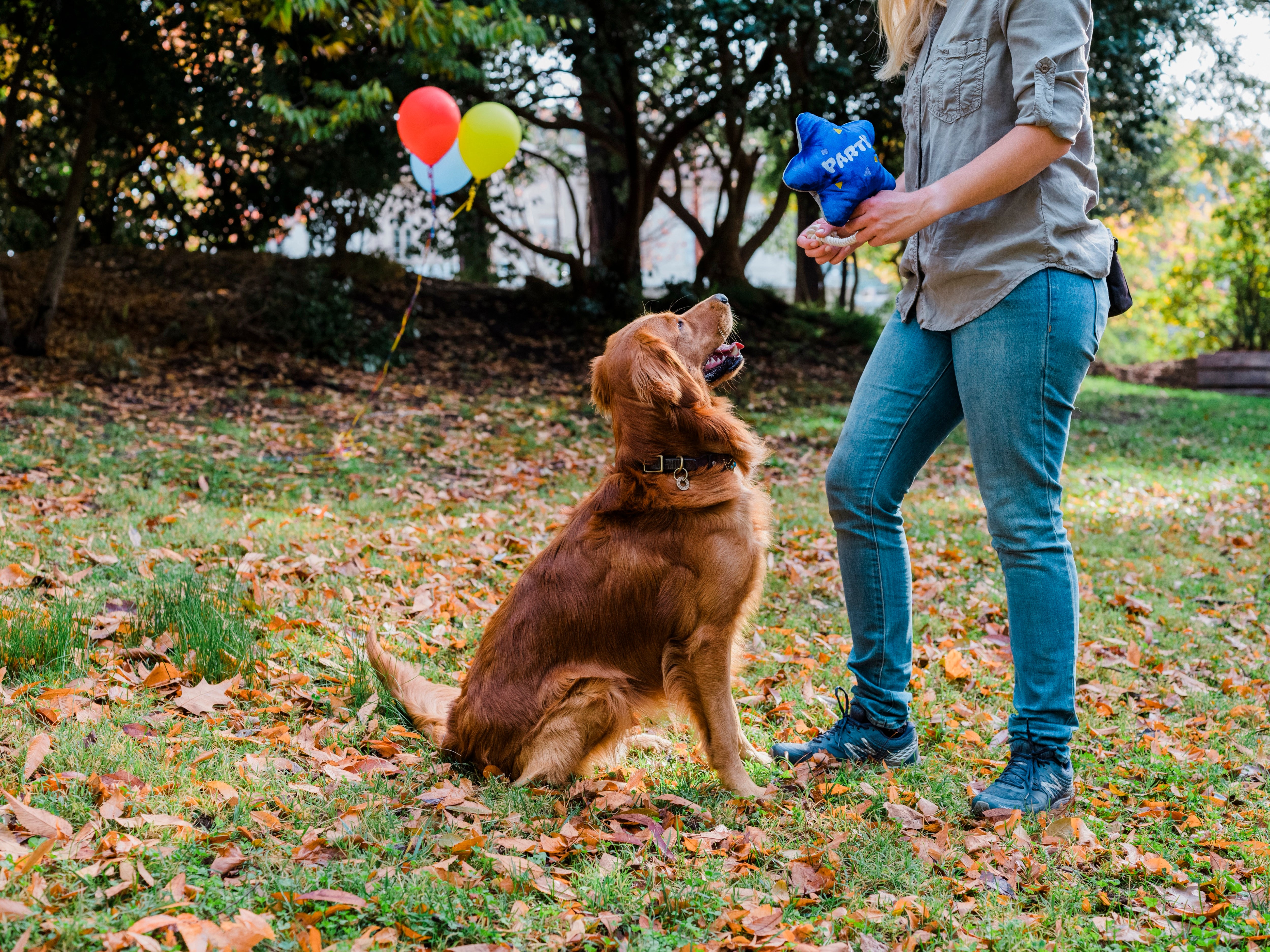 Party Time™ Dog Plush Toy - El Globo Fiesta Fun Chew Toy for Pets | Durable & Cute Dog Birthday Gift | Perfect for Playtime, Training Rewards & Puppy Teething Relief