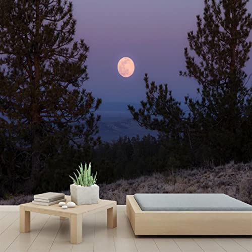 Moon Tree 3D PVC Peel and Stick Wallpaper - Self-Adhesive Wall Mural for Bedroom & Study Room Decor - 78