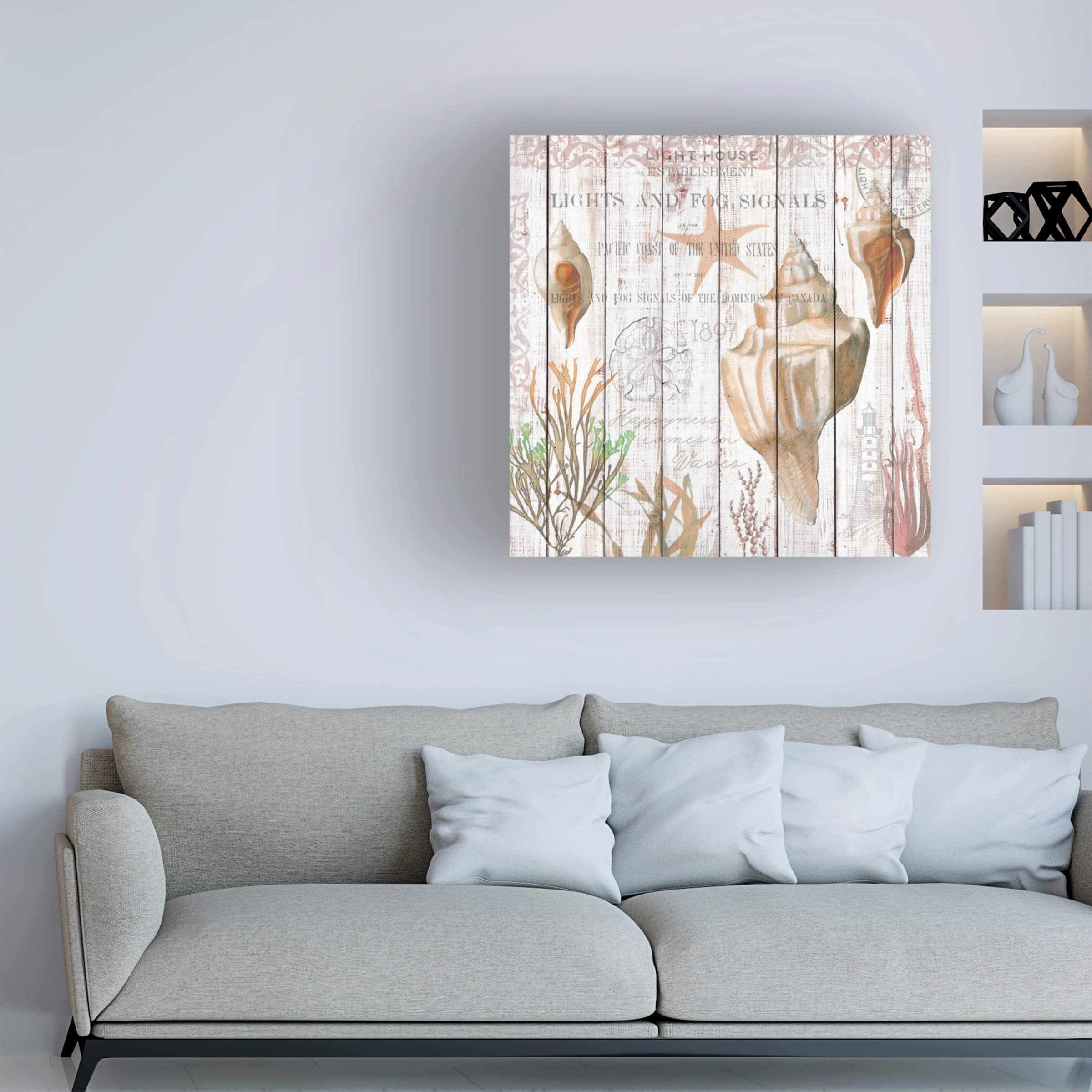 Trademark Fine Art 'Seashells on Driftwood Panel' Canvas Wall Art Print by Cora Niele - Coastal Beach Decor for Living Room, Bedroom & Office