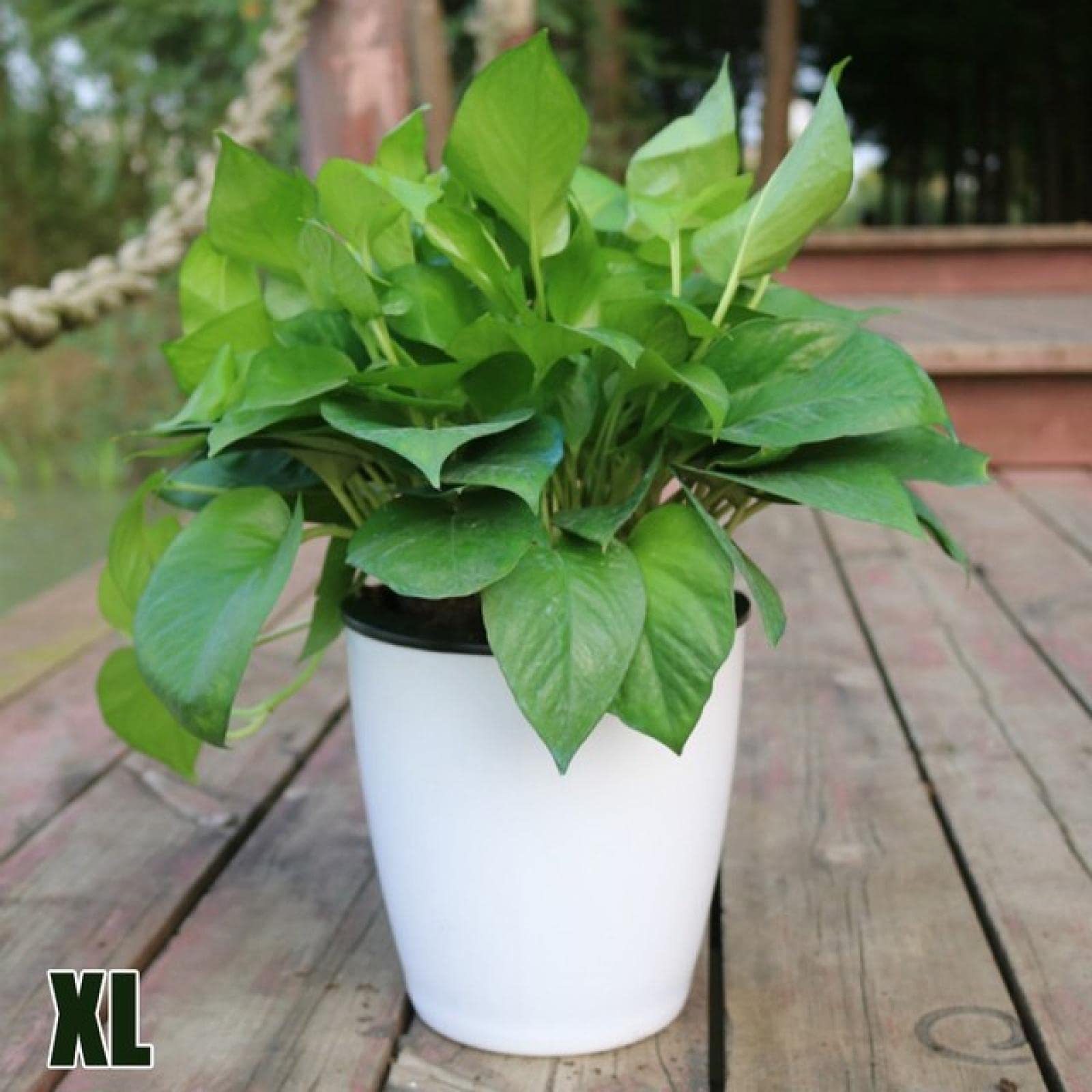 Self-Watering Plastic Flower Pot with Drain Hole - XL Size Imitation Porcelain Design, Inner & Outer Pot for Easy Gardening - Perfect for Indoor Plants, Balcony Decor, and Lazy Gardeners