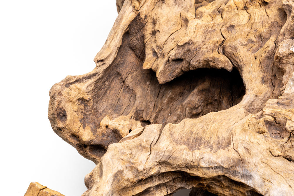 Natural Driftwood for Aquarium Decor - Unique Basin Driftwood for Fish Tank, Terrarium & Home Decor - Perfect for Aquatic Plants, Reptile Habitats & Zen Gardens