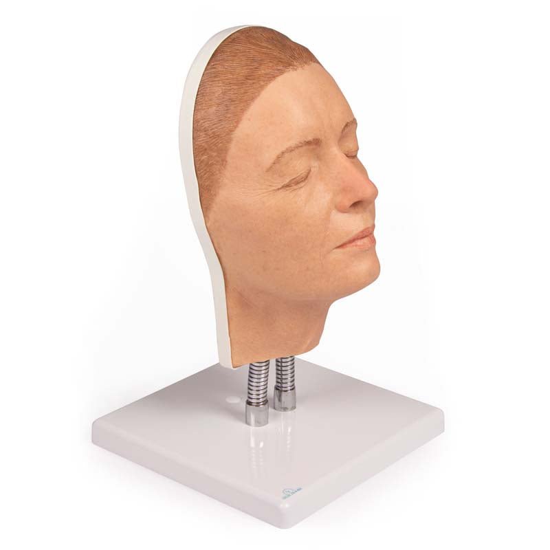 Professional Facial Injection Head Model for Medical Training - Light Skin Young Woman (Version A) - Ideal for Cosmetic Procedure Practice & Aesthetic Education