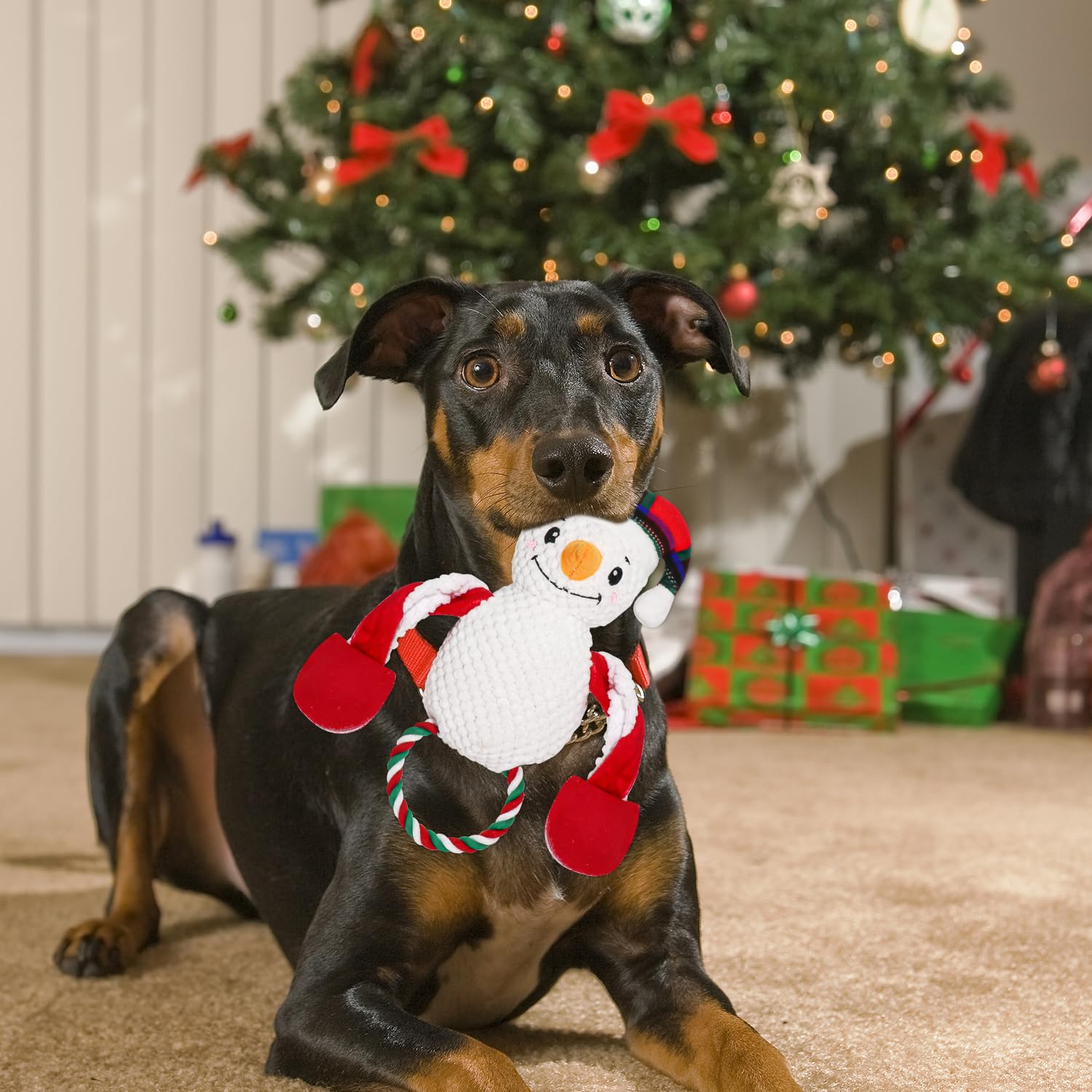 3 Pack Christmas Dog Toys - Squeaky Plush Santa, Reindeer & Snowman Stuffed Toys with Chew Rope | Interactive Pet Toys for Small & Medium Dogs | Perfect Stocking Stuffers & Holiday Gifts for Pets