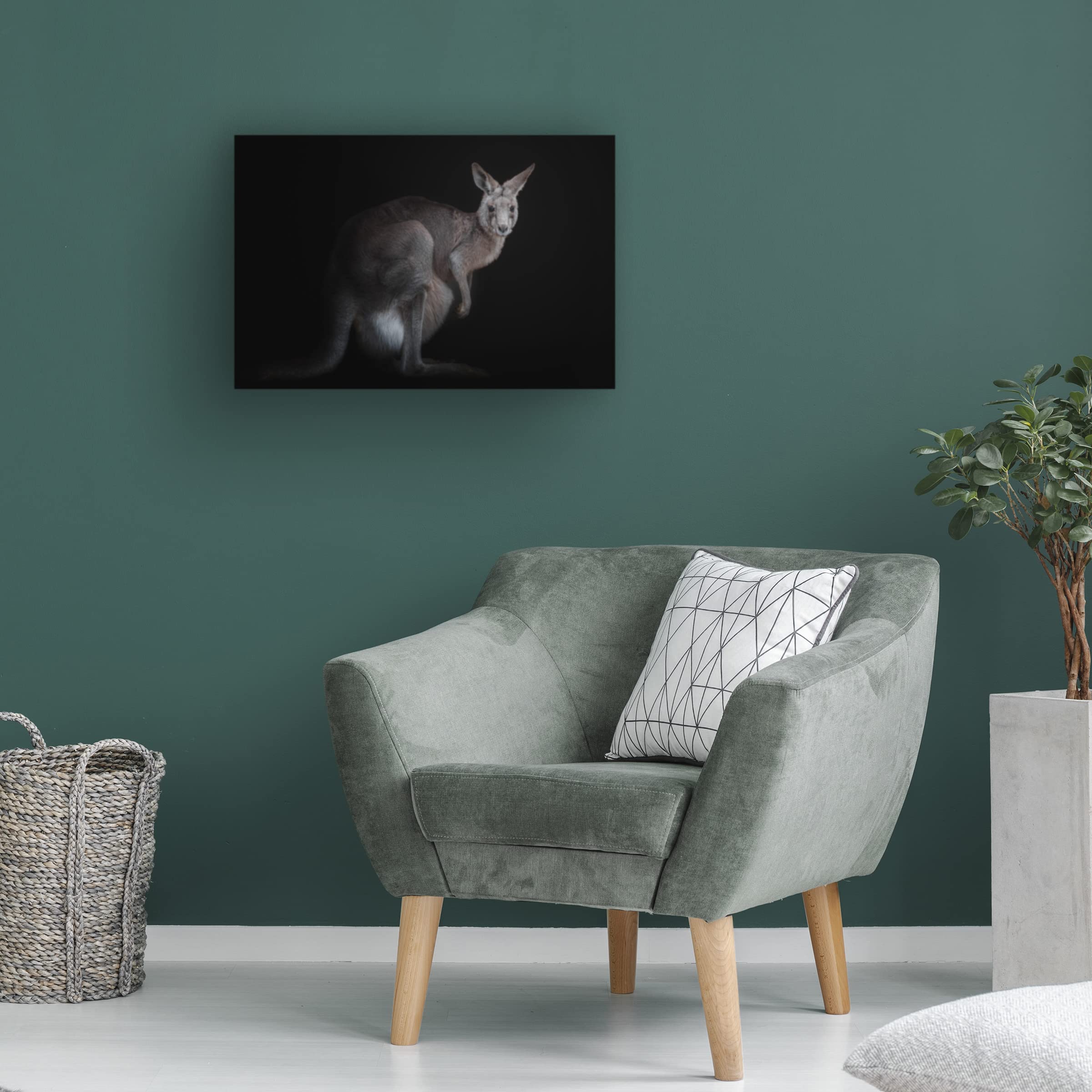 Trademark Fine Art 'Kangaroo' Canvas Wall Art Print by KaMerA - Perfect for Living Room, Bedroom & Office Decor
