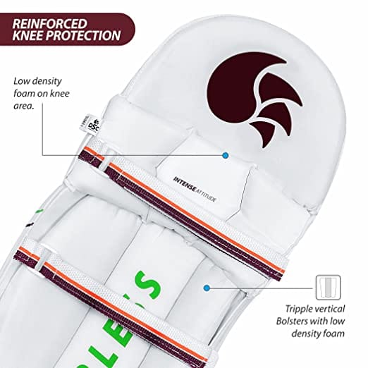 DSC Intense Attitude Cricket Batting Leg Guards - Premium Protective Gear for Cricket Players - Perfect for Practice, Matches & Training Sessions