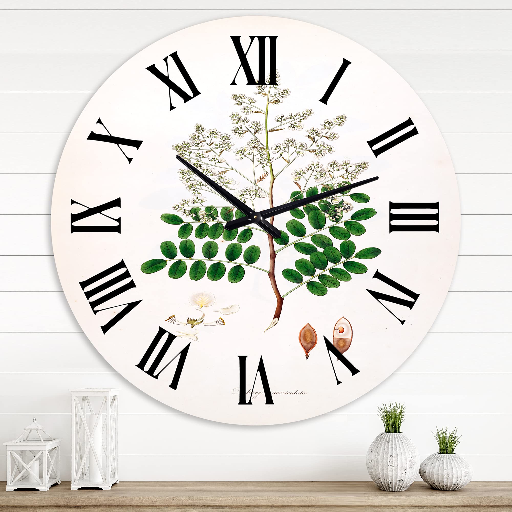 Vintage Botanicals XII Farmhouse Wall Clock - Large Floral & Botanical Wall Decor for Living Room, Kitchen, Bedroom - Perfect Rustic Home Decor Gift