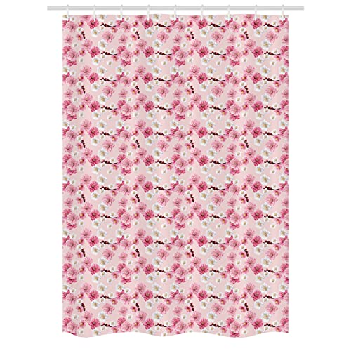 Pale Pink Pastel Pink