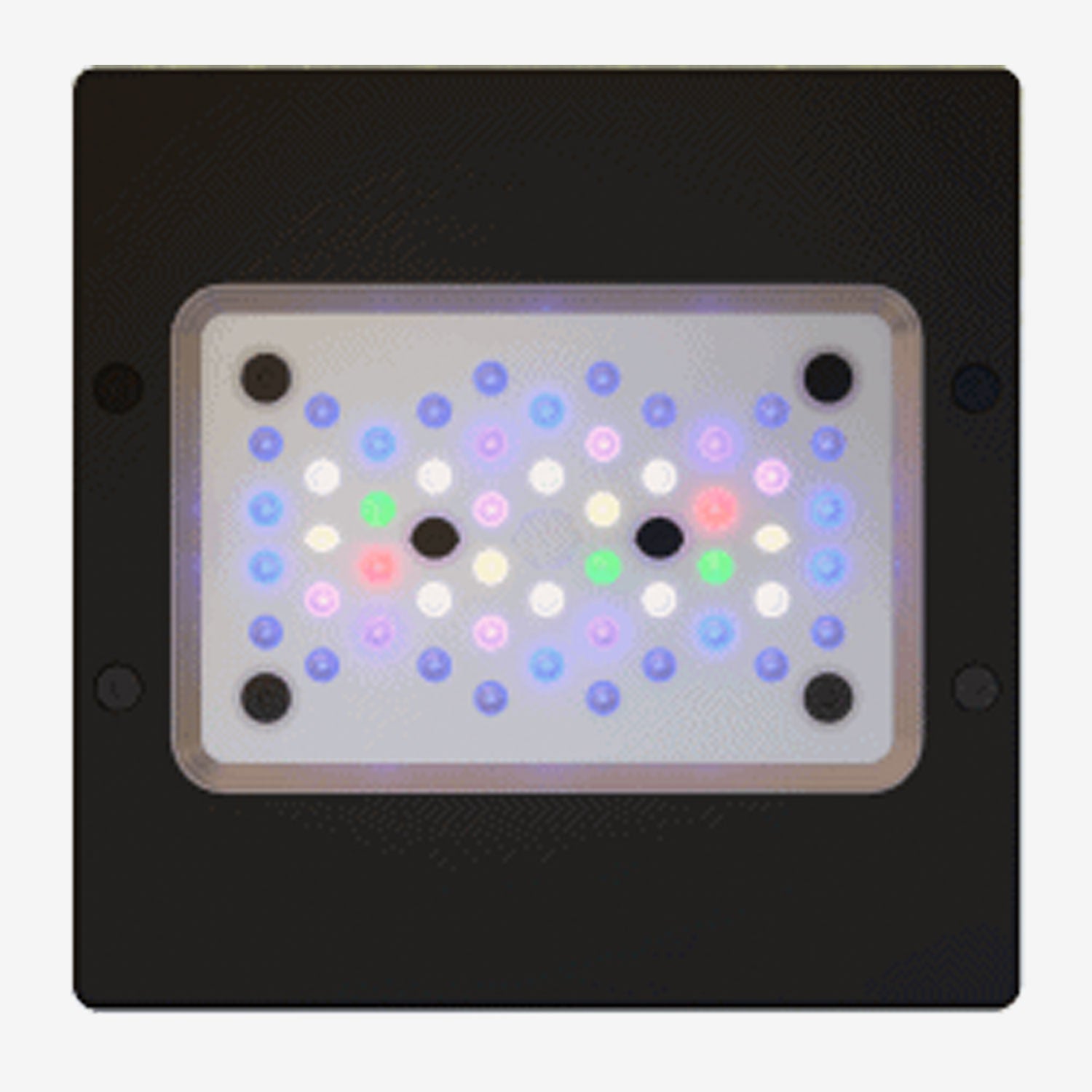 Radion XR15 G6 PRO LED Aquarium Light - High Performance Coral Reef Tank Lighting for Saltwater Marine Fish Tanks | Perfect for Reef Keeping, Coral Growth & Aquatic Plant Tanks