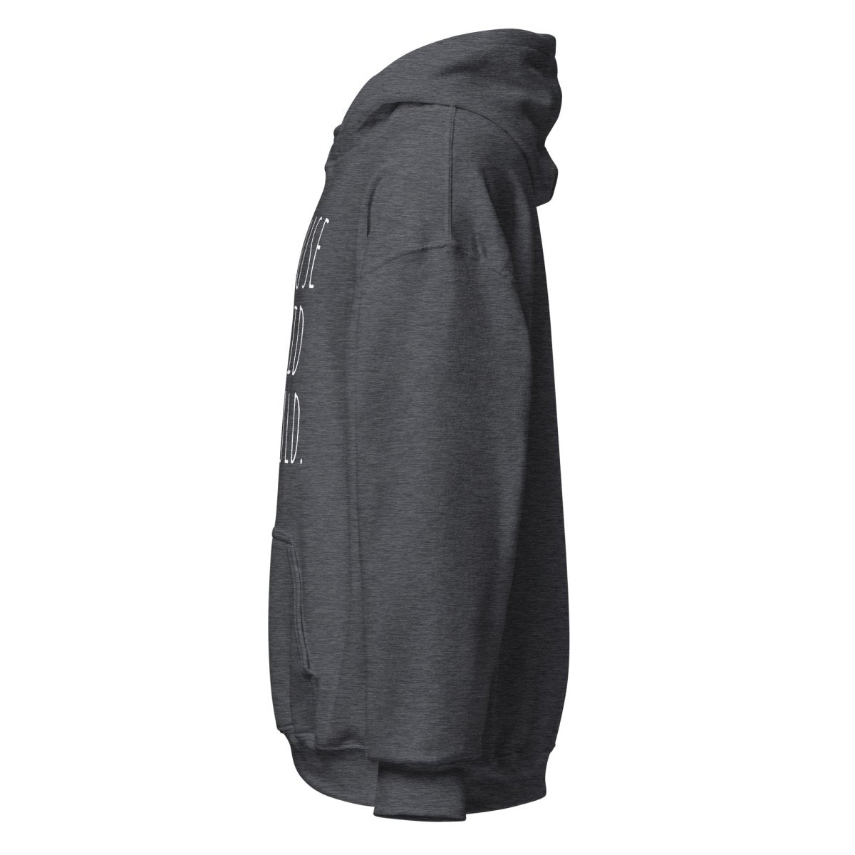 Because I Said I Would Hoodie - Motivational Accountability Sweatshirt for Men & Women | Recovery & Commitment Apparel | Perfect for Gyms, Meetings & Daily Inspiration