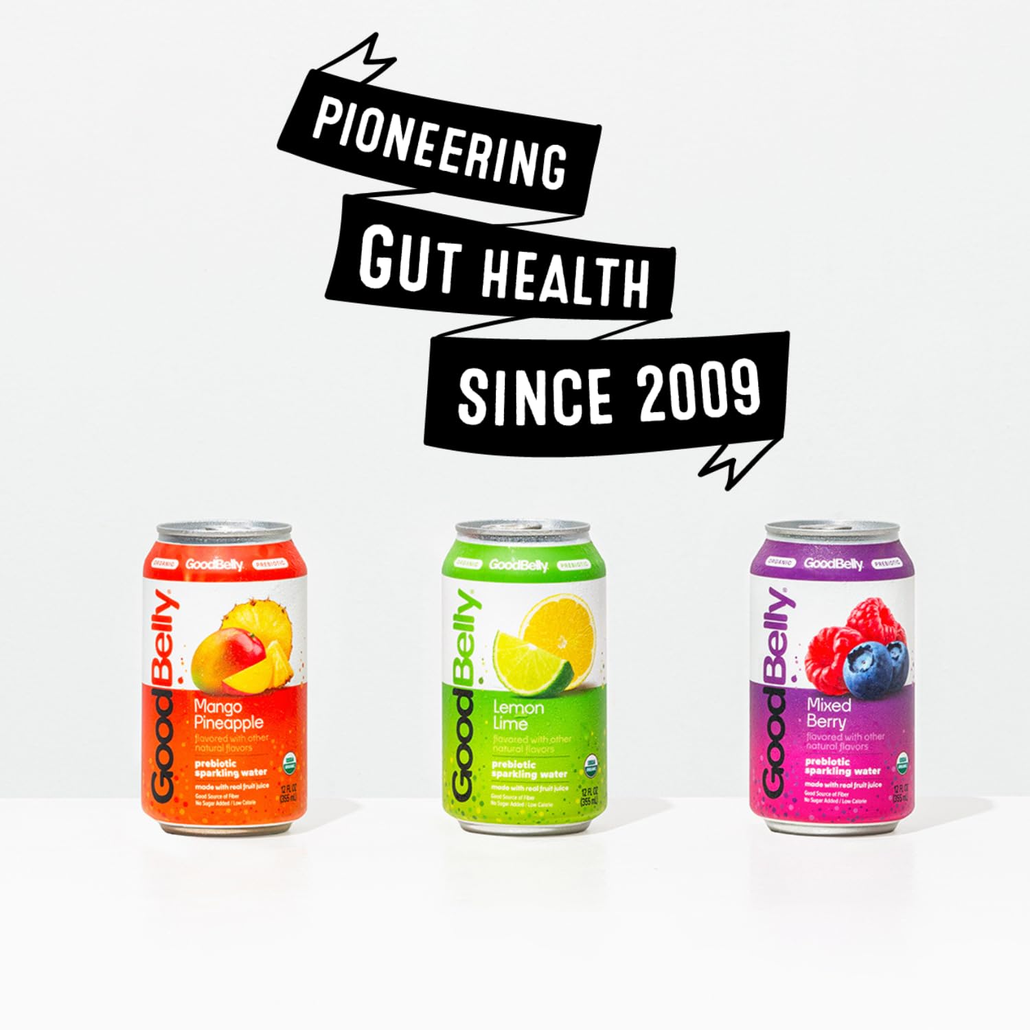 GoodBelly Organic Prebiotic Sparkling Water - Mixed Berry Flavor | Zero Sugar, Low Calorie, Gut Health Support | 4-Pack | Perfect for Hydration & Digestive Wellness at Home or Office