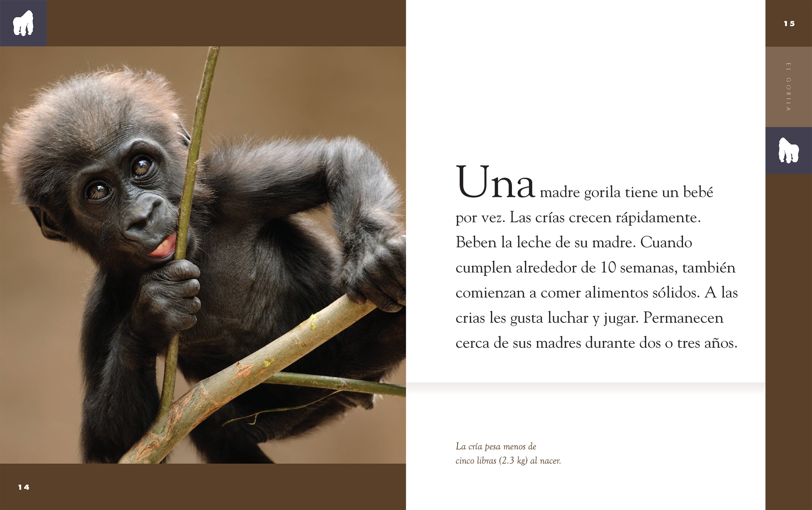 El Gorila 9781640264663 - Wild Animal Book for Kids, Spanish Learning & Jungle Adventure Stories - Perfect for Classroom Reading, Homeschooling & Bedtime Stories