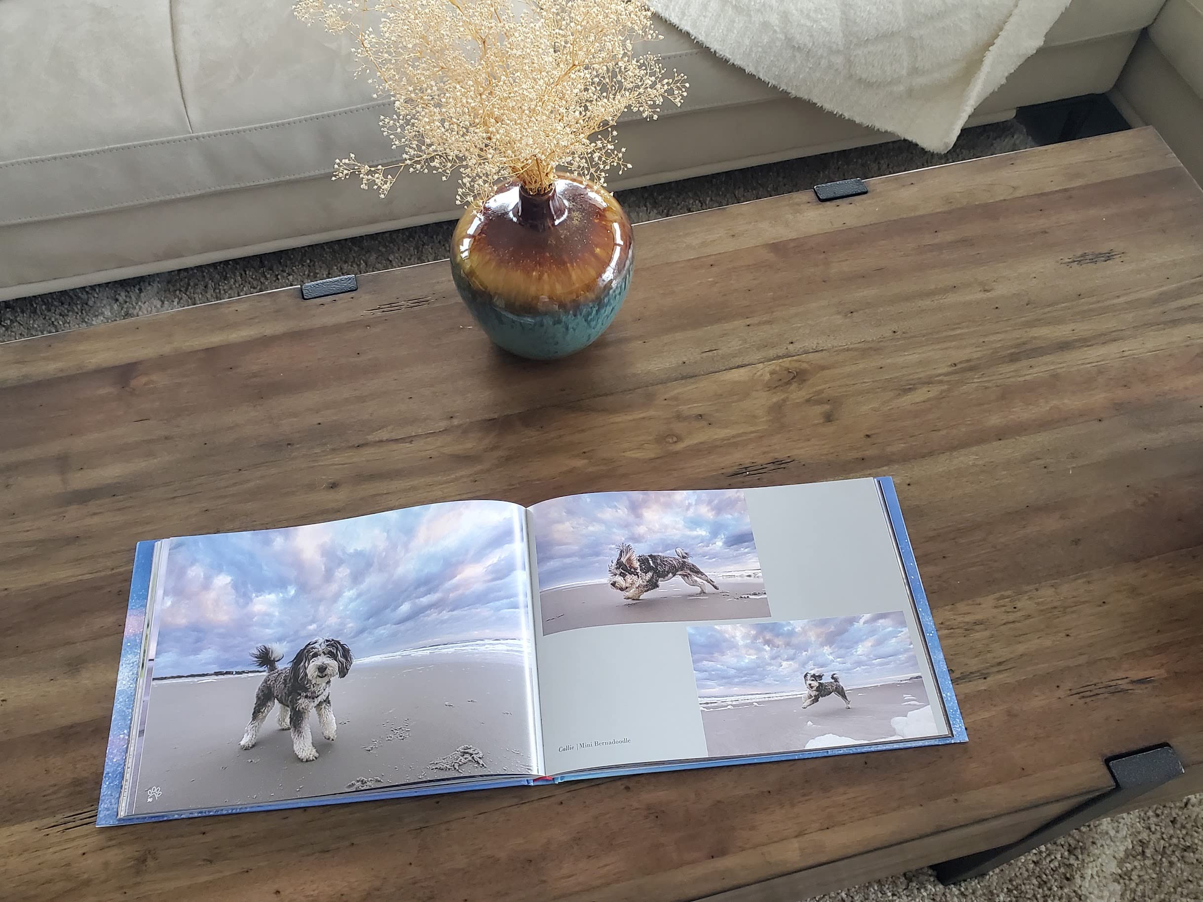 BEACH DOGS: Stunning Coffee Table Photography Book for Dog Lovers - Perfect Gift for Pet Owners & Beach Enthusiasts | Home Decor & Conversation Starter