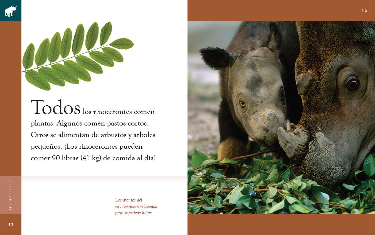 El Rinoceronte 9781640266797 - Rhinoceros Book for Kids, Wildlife Education & Animal Facts - Perfect for Classroom Learning & Nature Enthusiasts